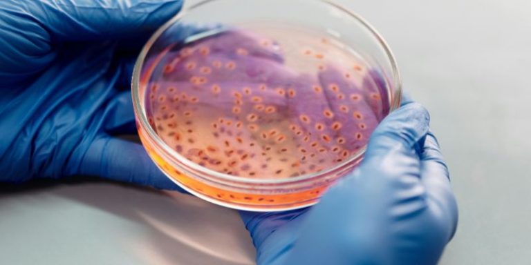 eadv course Bacterial infections of the Skin