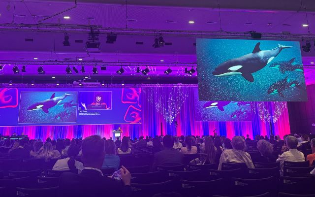 Lucy cooke session eadv congress paris 2025