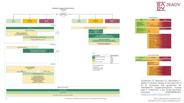 Creating Guidelines & Evidence-Based Pathways (6)